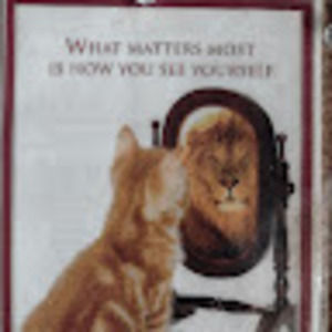 Meet your Posher, Deborah